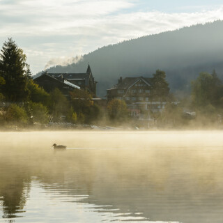 CK_20181002_6801-HDR