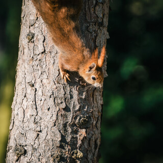 CK_20210307_145029_2011