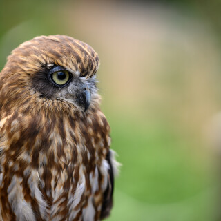 CK_20210731_125919_5977