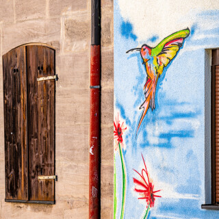 CK_20220514_110435_4241