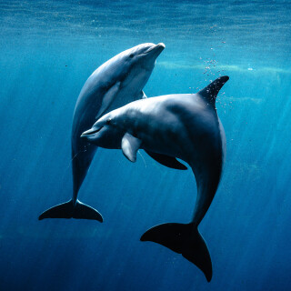 CK_20240511_120629_0998